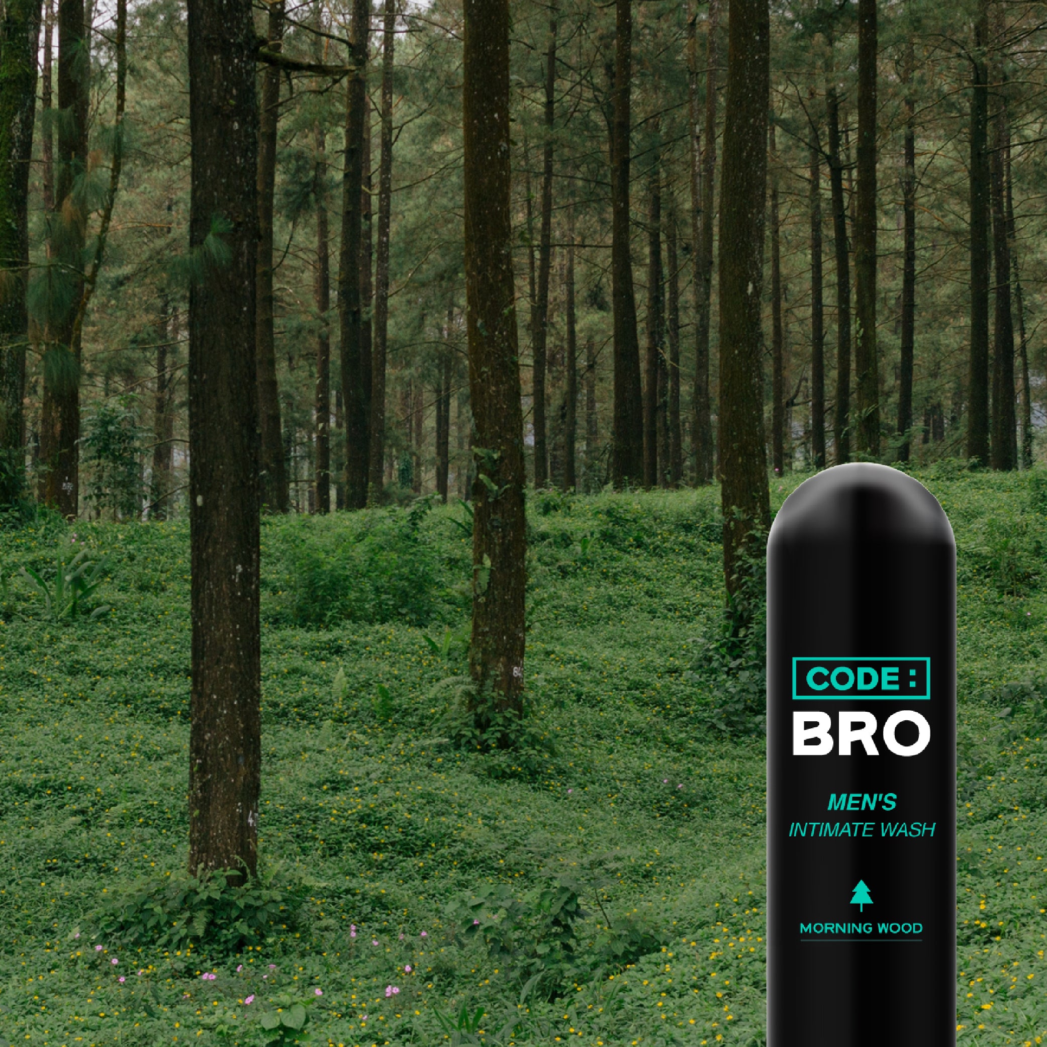 code_bro-__morning_wood_Artboard_3.jpg